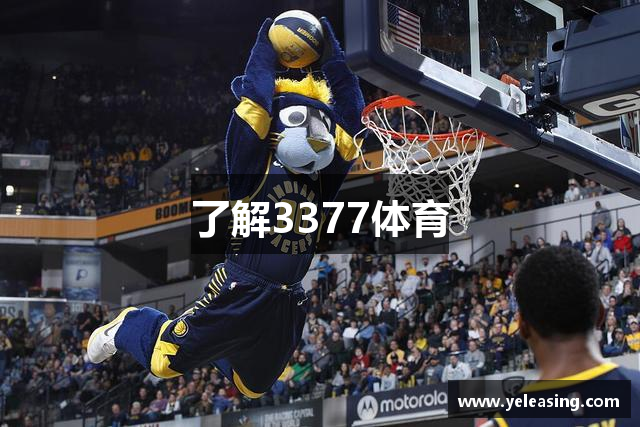 了解3377体育